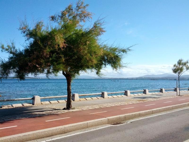 Apartamento Tranquilo Zona Paseo De Lordelo - Wifi - Mascotas O Grove Exteriör bild